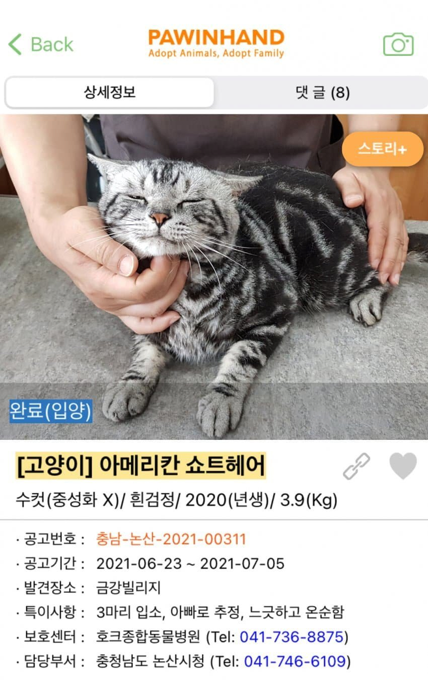 김짤.com_005.png