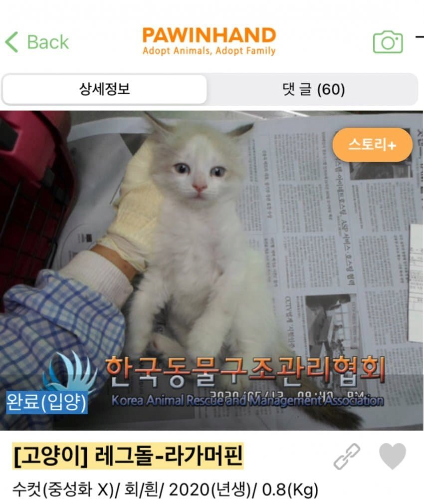 김짤.com_011.png