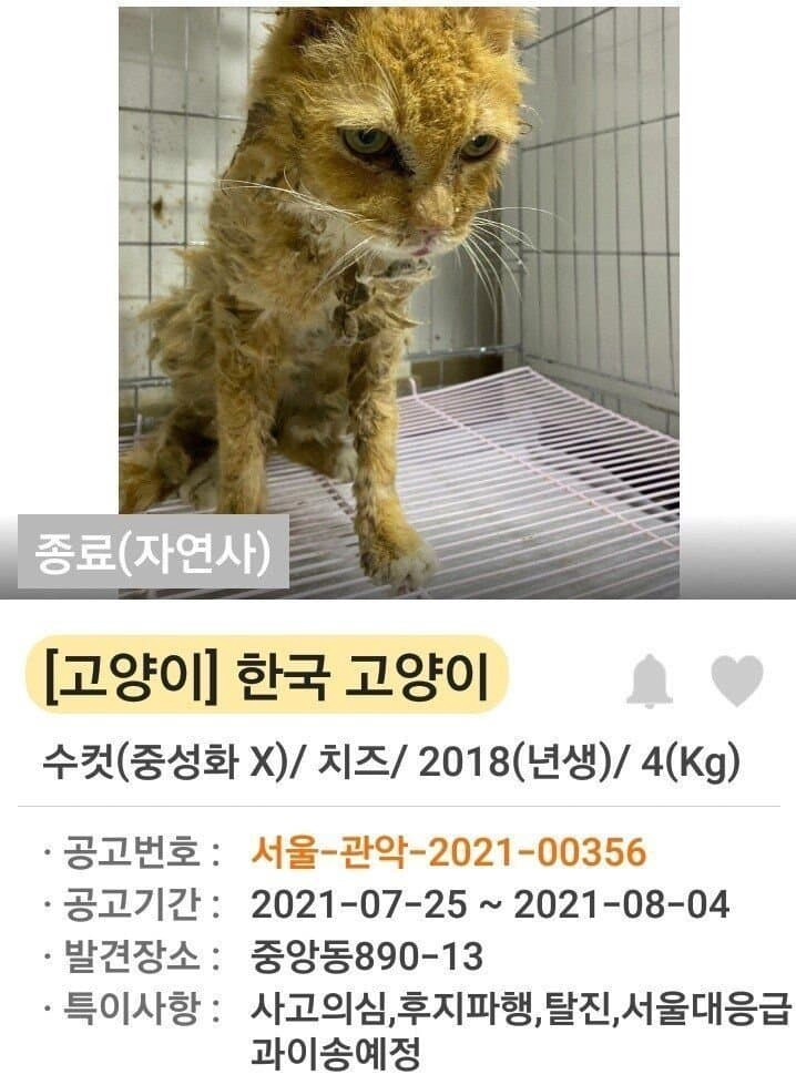 김짤.com_012.png