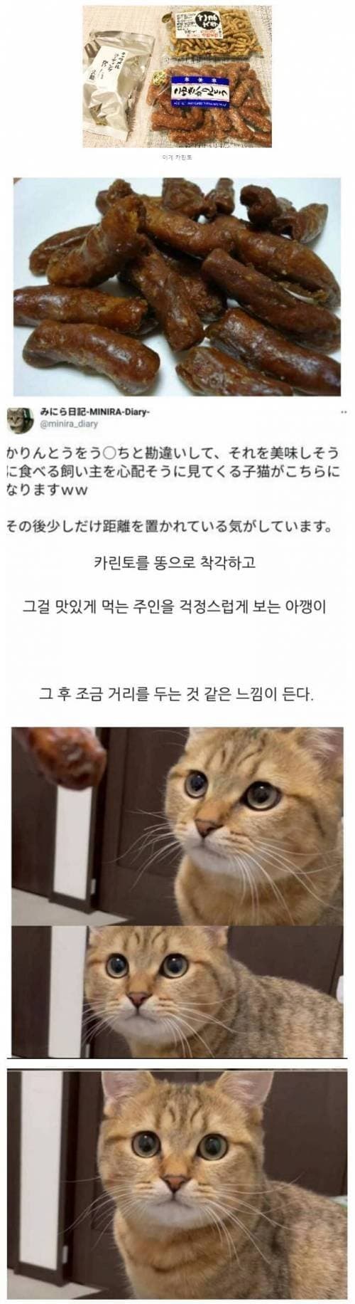 1701043142.jpg