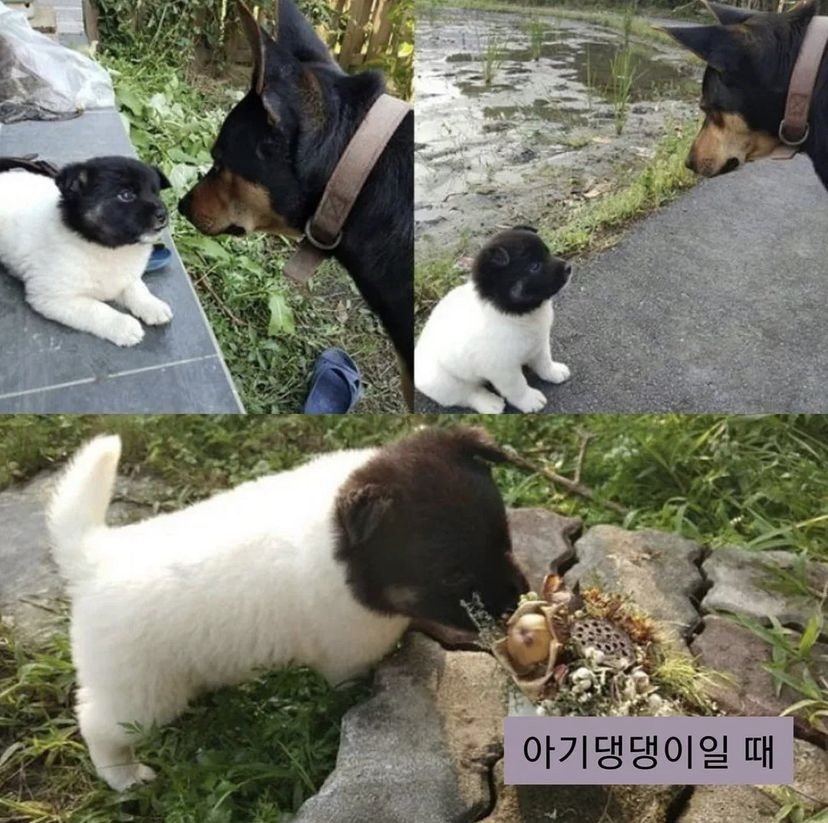 24post.co.kr_002.jpg
