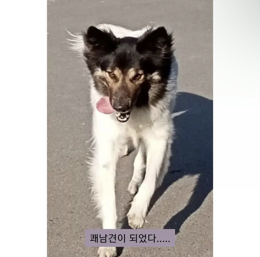24post.co.kr_004.jpg