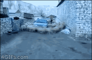 BEE7_B9F6C7C1.gif