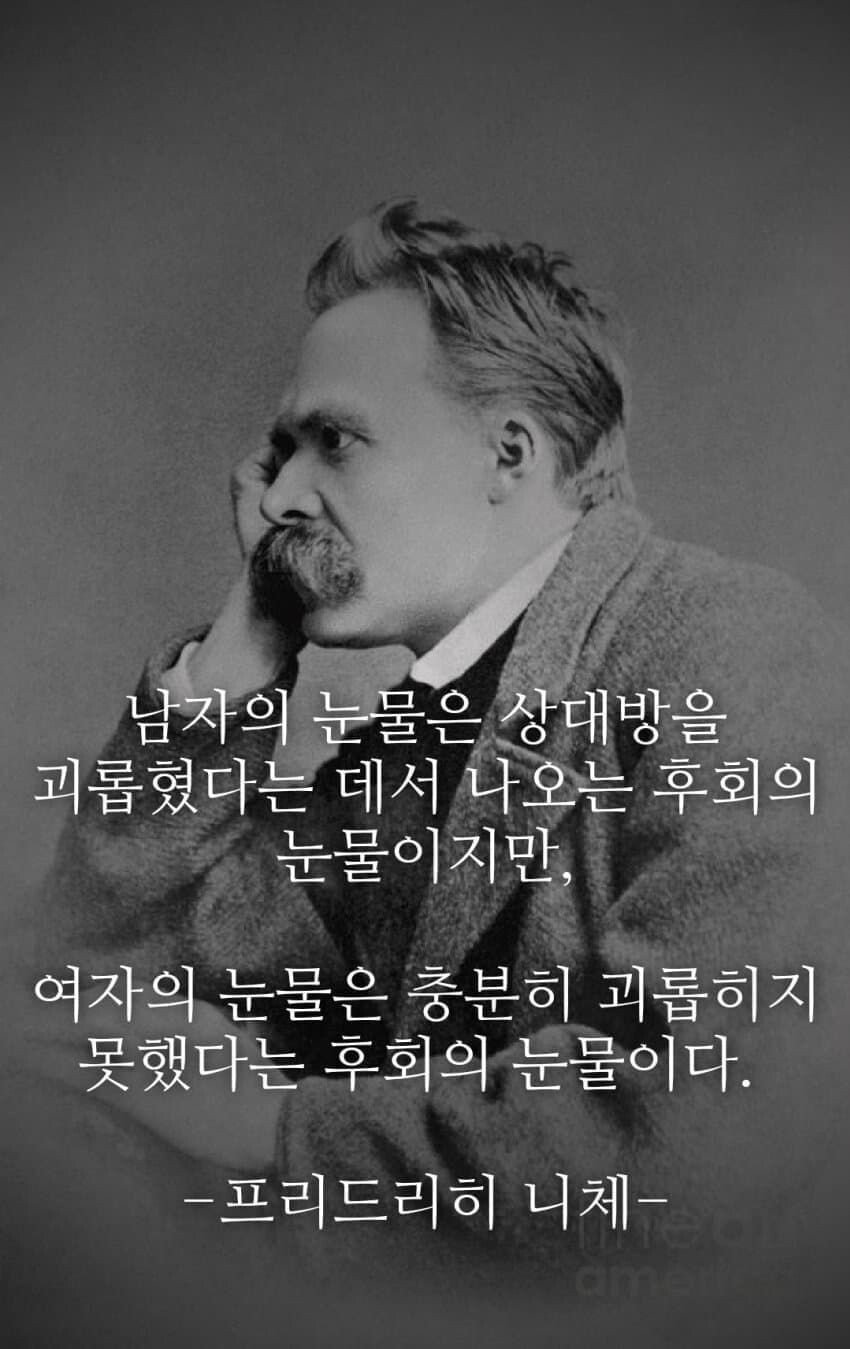 b3a19978f39679218ada6d022831afda4ed77987d2832f29099fbddf39a0ffad.jpg 니체가 여자를 극단적으로 싫어한 이유.jpg