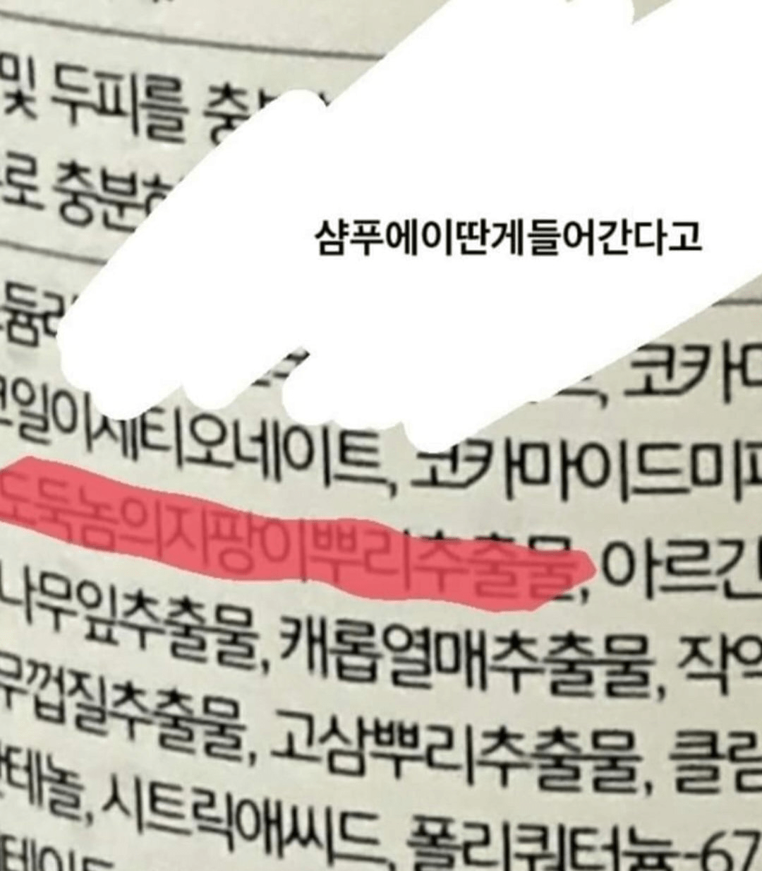 image.png 샴푸에 이딴 게 들어간다고..?