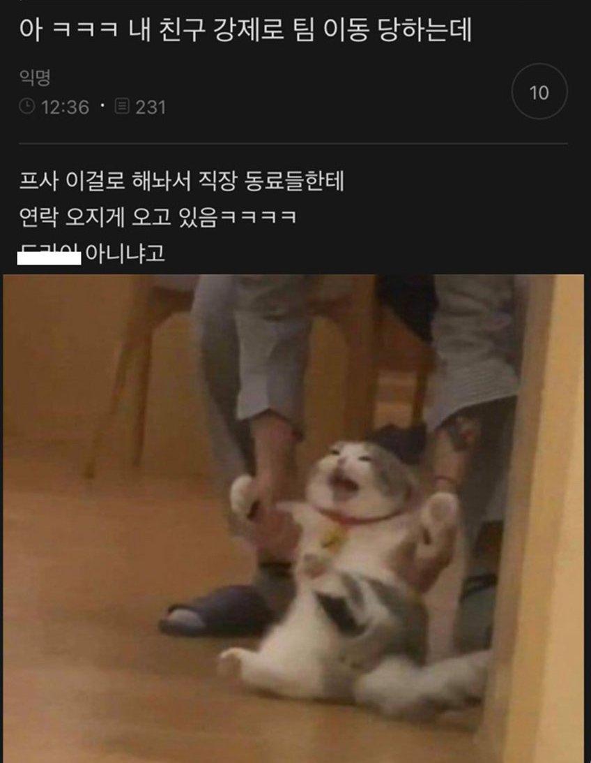 image.png.jpg