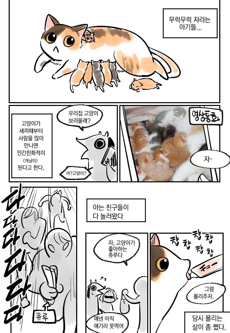 49ef46324b20d6791715a7989a1ff441.jpeg