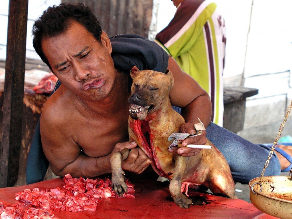 P82222341-1024x768.jpg (혐주의) 온갖 동물의 고기를 파는 인도네시아판 모란시장, "토모혼 시장"