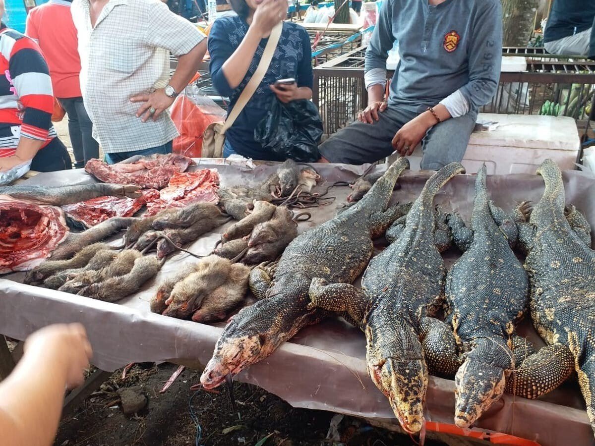 bats-dogs-rats-and-reptiles-on-sale-in-tomohon-market-indonesia-march-28th-2020-1.jpg (혐주의) 온갖 동물의 고기를 파는 인도네시아판 모란시장, "토모혼 시장"