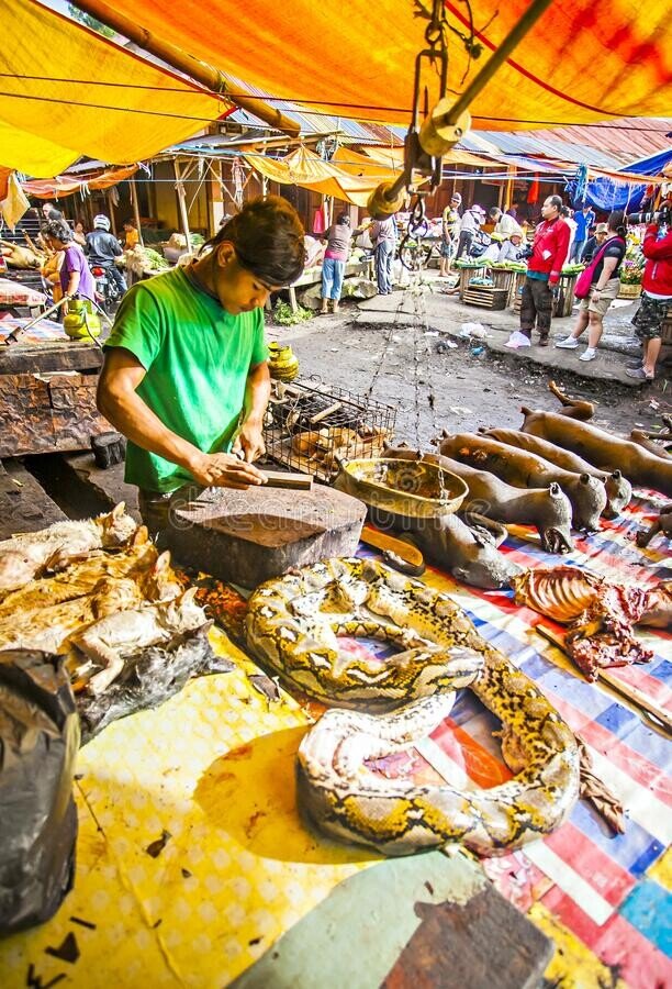 tomohon-indonesia-stall-various-meat-extreme-market-sell-wild-life-animal-such-as-snake-dog-bat-179189197.jpg (혐주의) 온갖 동물의 고기를 파는 인도네시아판 모란시장, "토모혼 시장"