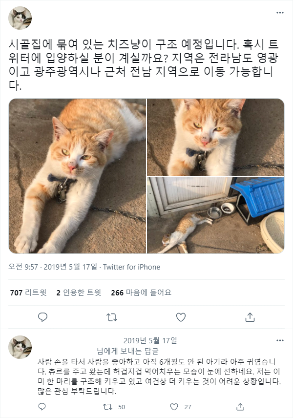 1689935399.png 고양이 밖에 내놓으면 안되는 이유...jpg