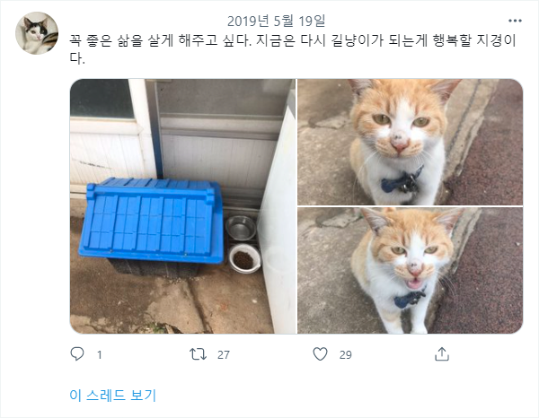 1689935399 (1).png 고양이 밖에 내놓으면 안되는 이유...jpg