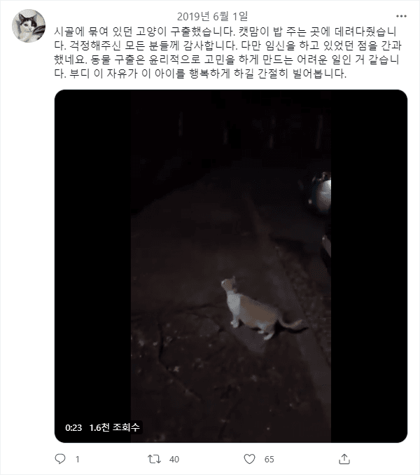 1689935399 (2).png 고양이 밖에 내놓으면 안되는 이유...jpg