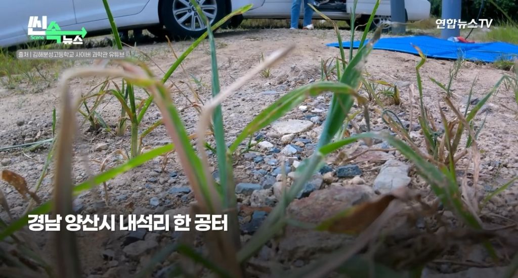 Internet_20230916_160016_1.jpeg 제대로 사고친 K-고딩들 ㄷㄷ...NEWS