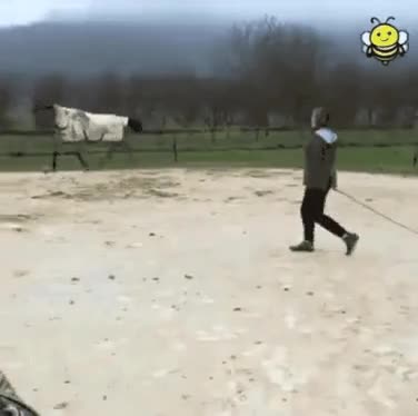 zall1600730299_674040881.gif