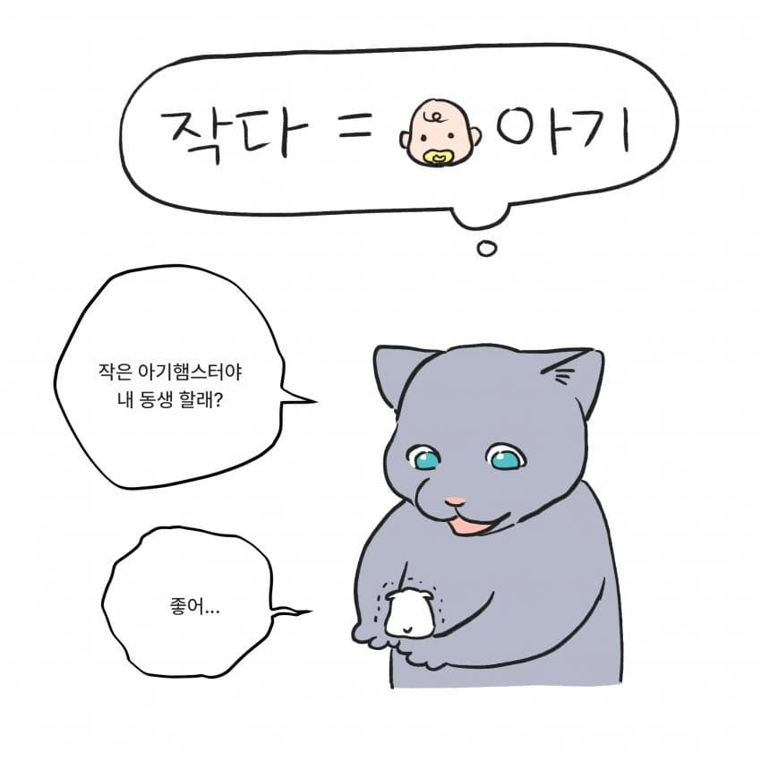 16917069771964.jpg
