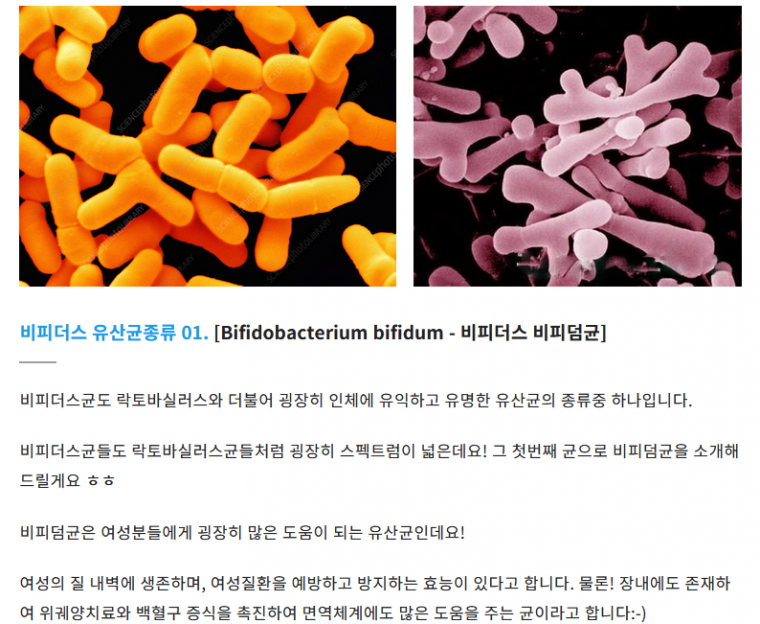김짤.com_001.png