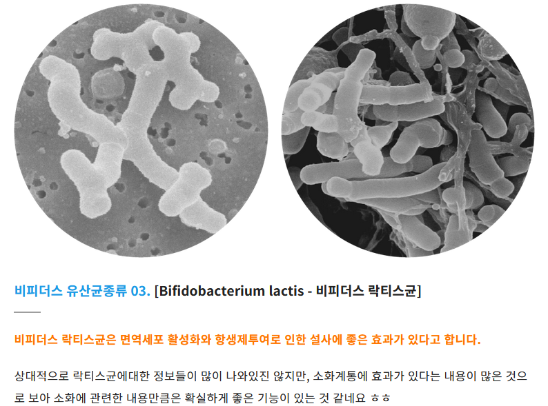김짤.com_003.png