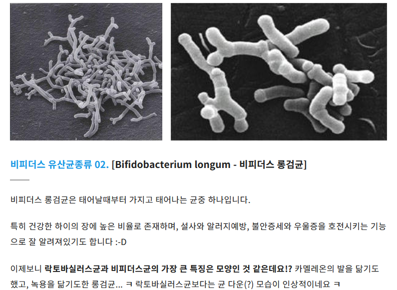 김짤.com_002.png