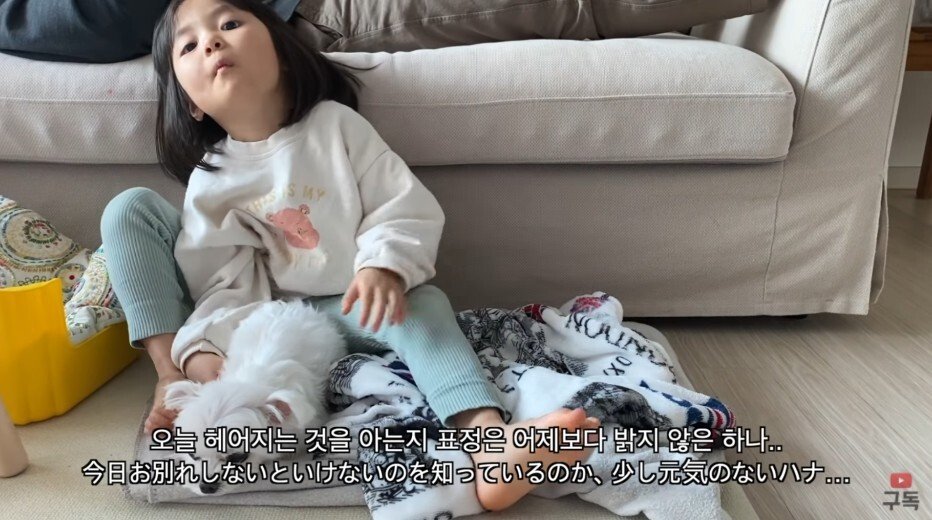 김짤.com_008.jpg