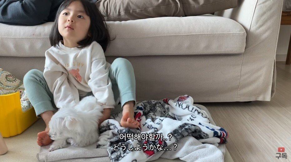 김짤.com_009.jpg