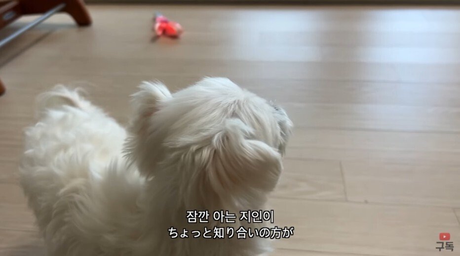김짤.com_007.jpg