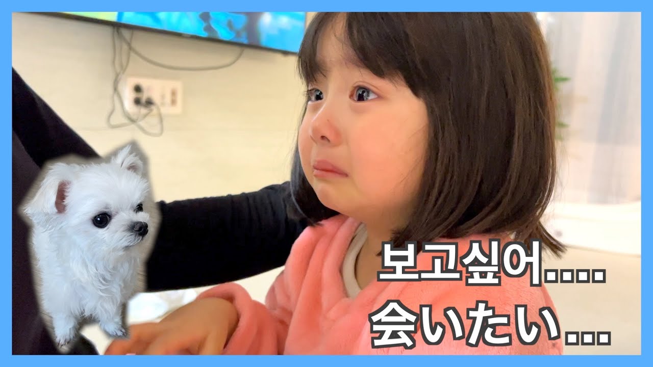 김짤.com_001.jpg