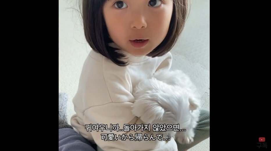 김짤.com_013.jpg
