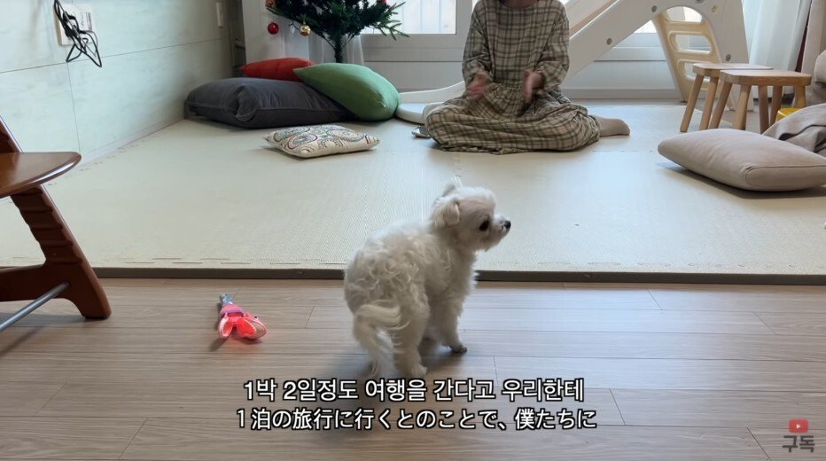 김짤.com_002.jpg