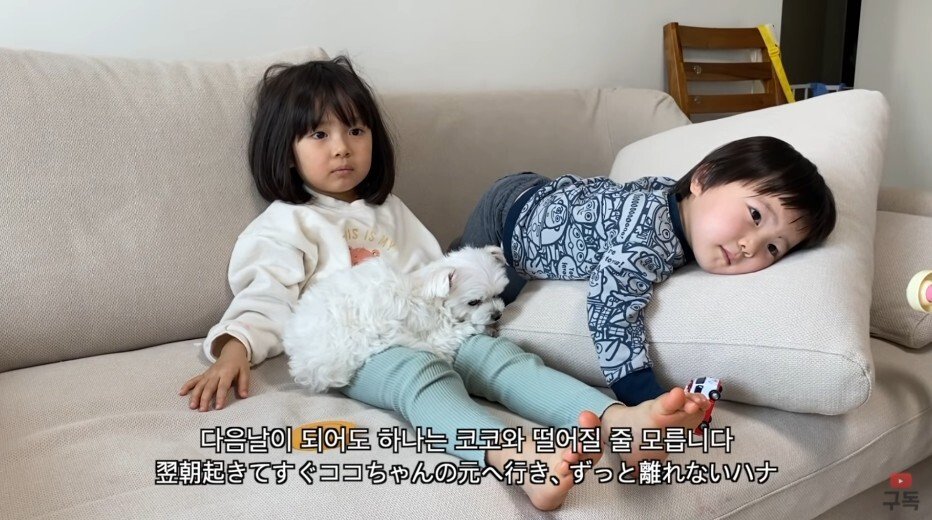 김짤.com_006.jpg