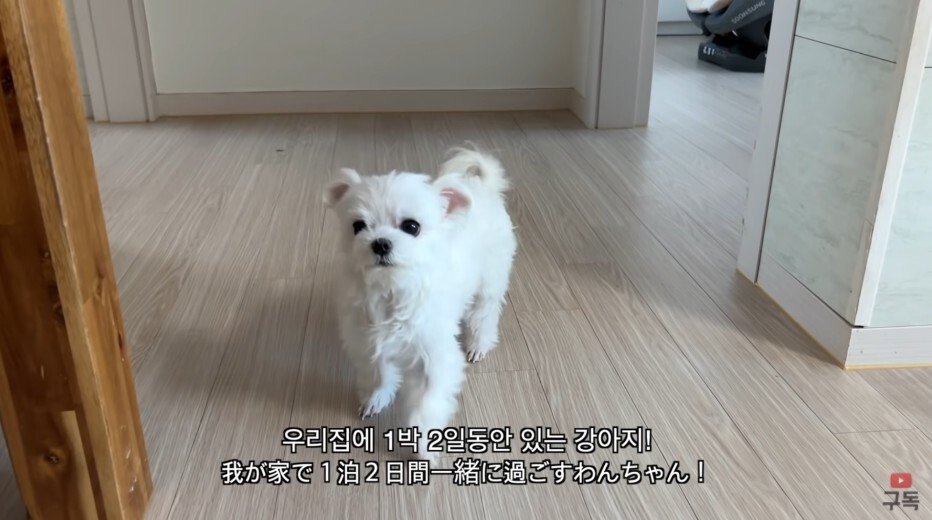 김짤.com_003.jpg