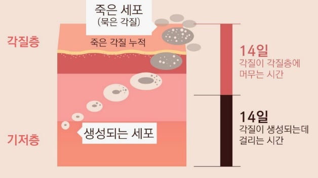 엄마들이 방청소에 예민한 이유.jpg | 인스티즈