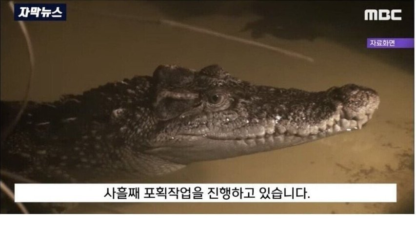 24post.co.kr_015.jpg