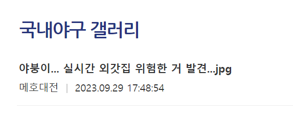 image.png 실시간 외갓집에서 위험한 걸 발견한 야갤러.JPG