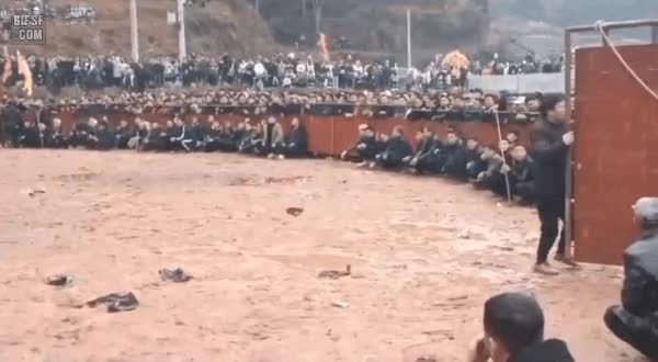 gifsf.com-0020.gif