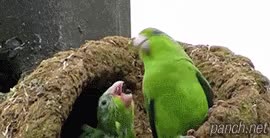 externalFile-13.gif