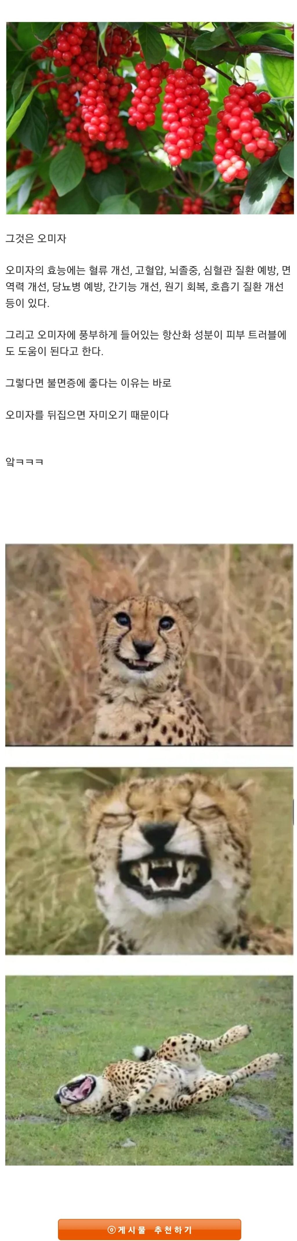 ggoorr.net_001.jpg