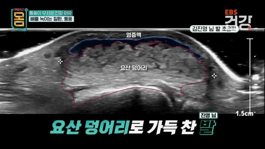 김짤닷컴_007.jpg
