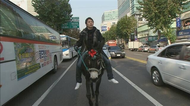 386D865C-2810-4BCC-820D-9871D4C17A3E.jpeg 의외로 국내에서 불법이 아닌 것
