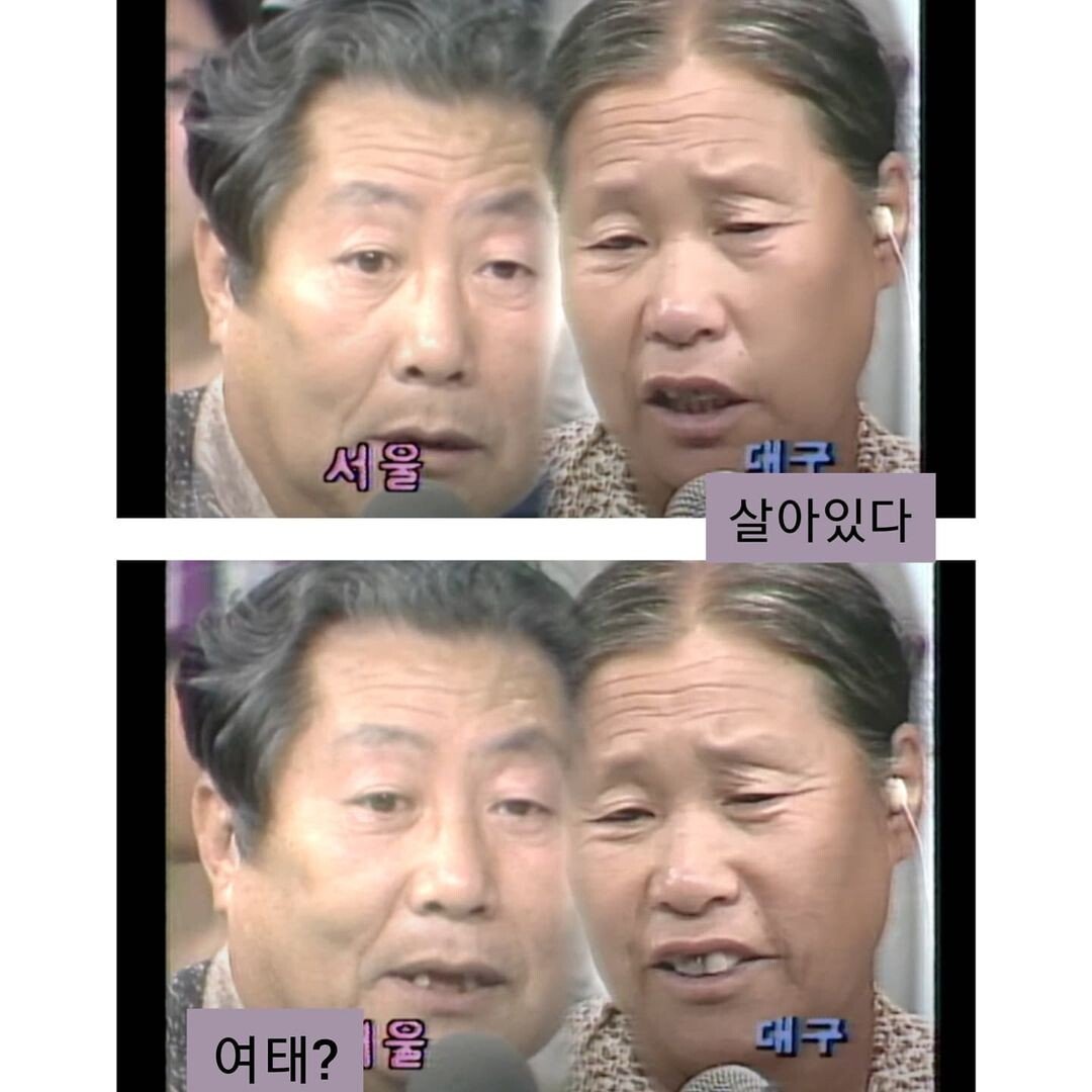 김짤.com_005.jpg