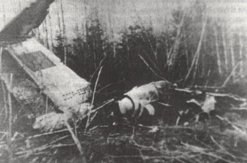 2.png 항공업계 역사상 최악의 해라고 불리는 1985년