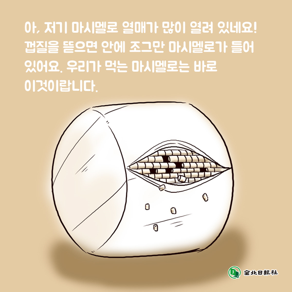 24post.co.kr_003.jpg