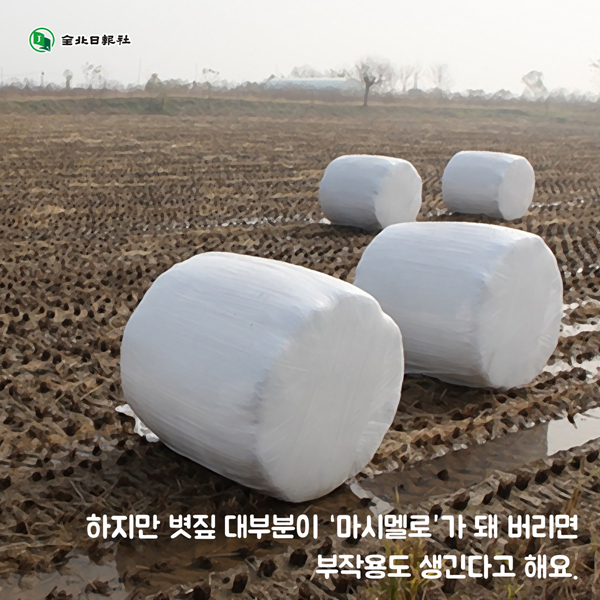 24post.co.kr_010.jpg