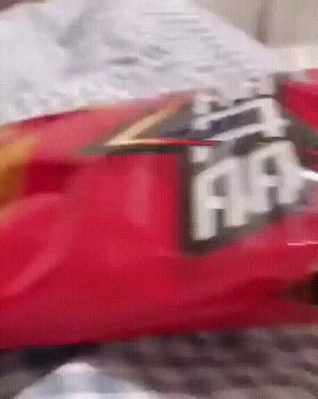 31C6FDFA-196F-4F18-9381-861244438FB9.gif