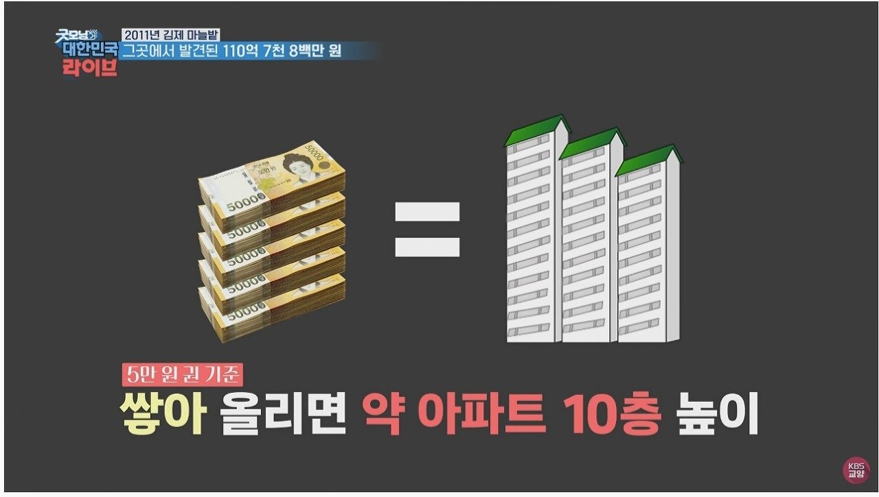 마늘 밭에서 110억 발견했던 사람 근황