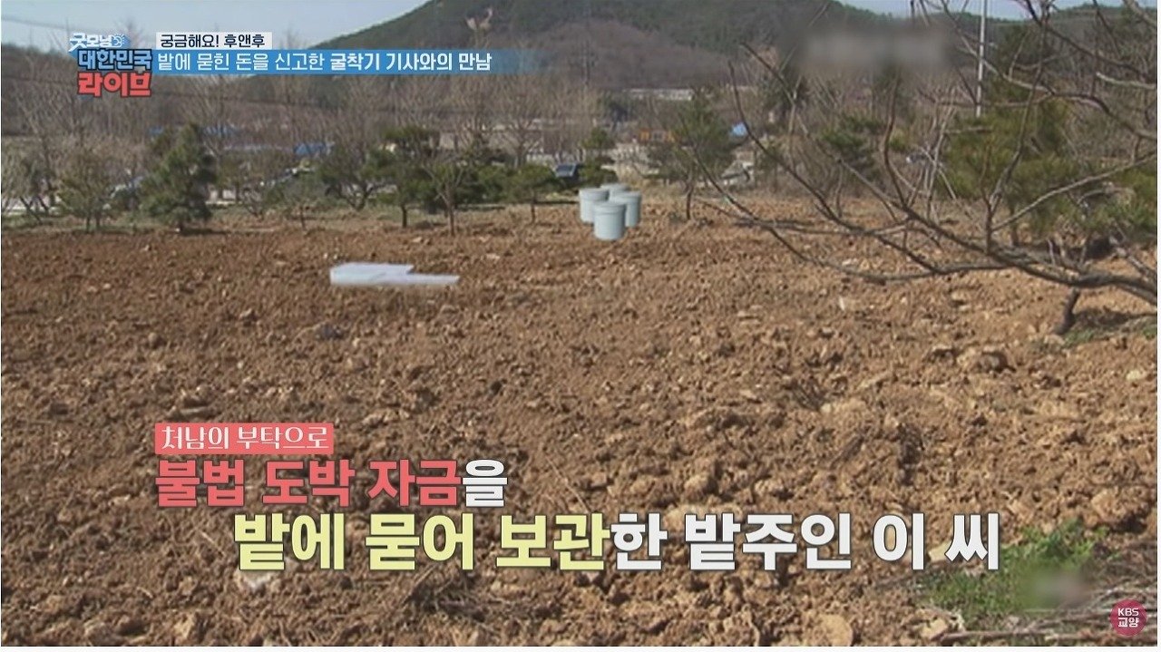 마늘 밭에서 110억 발견했던 사람 근황