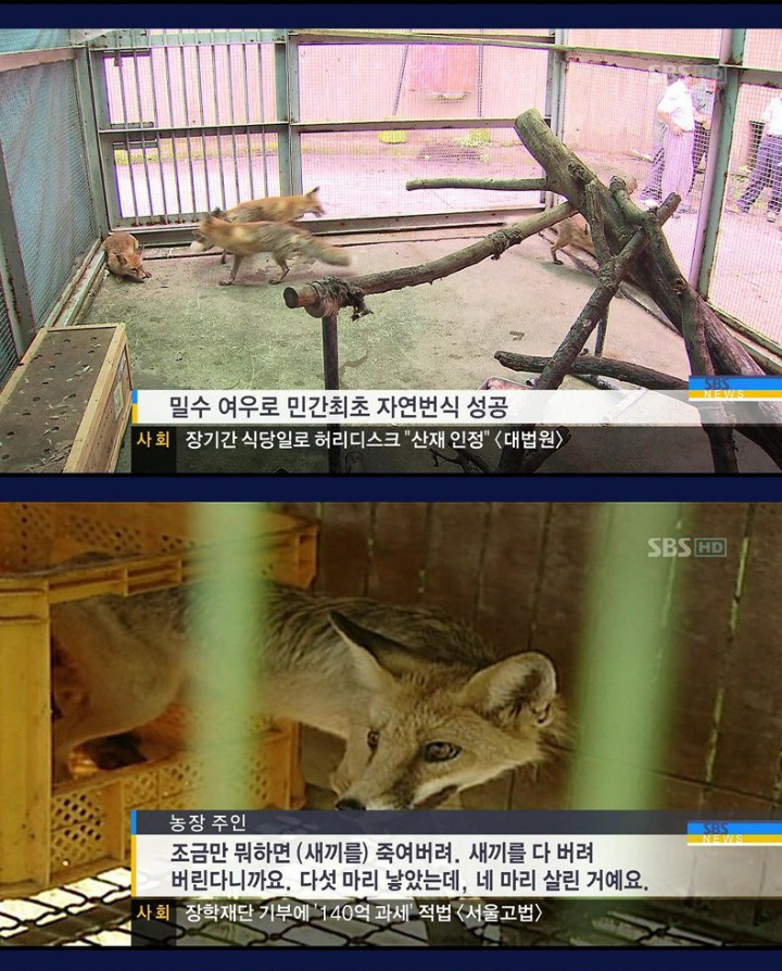 24post.co.kr_002.png