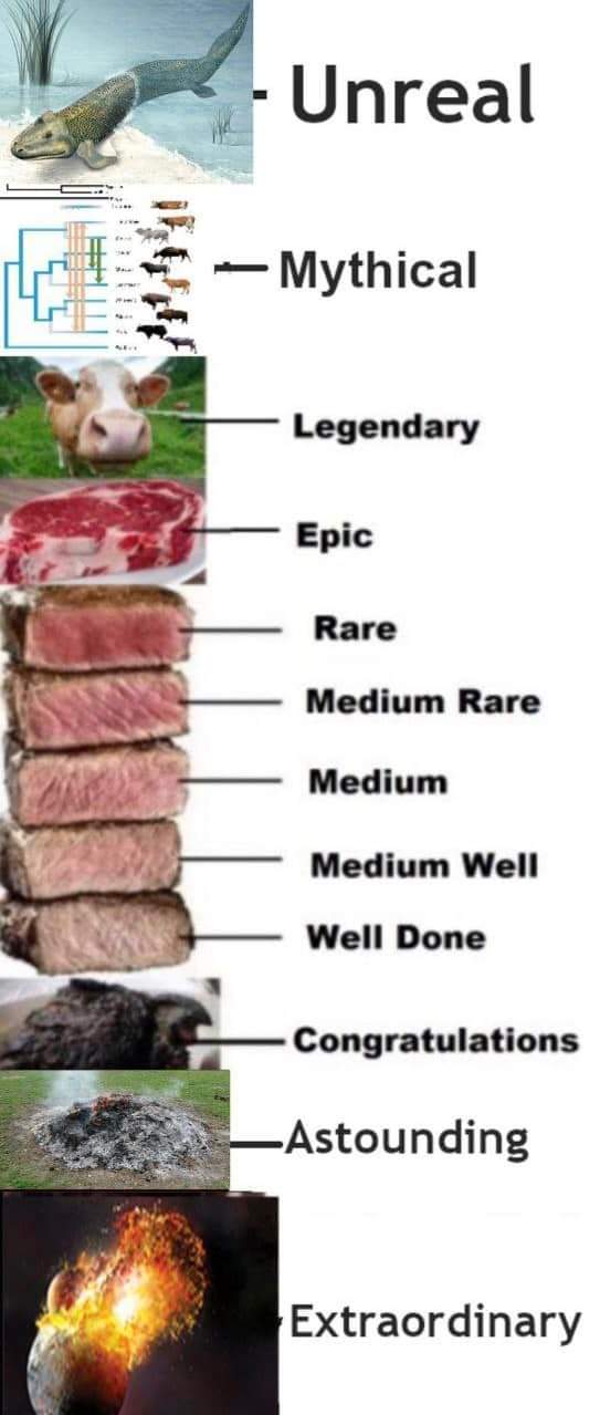 FB_IMG_1694755726987.jpg