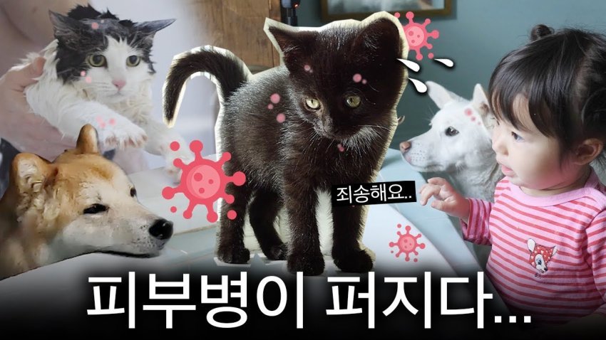 24post.co.kr_001.jpg