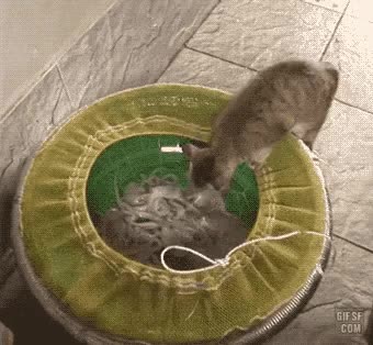 zall1593692403_1653961724.gif
